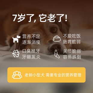 挚好老年小型犬狗粮泰迪柯基比熊宠物专用犬粮排名前十老龄小狗粮