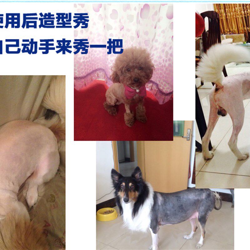 大功率绒山羊长毛兔剃毛器泰迪狗毛电推剪电动推子狗狗宠物剪毛器