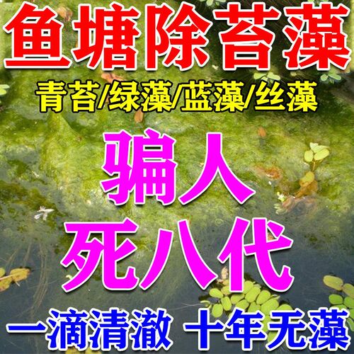 2026鱼池除藻去苔剂青苔清除剂清理神器速杀青苔蓝藻克星不伤鱼虾