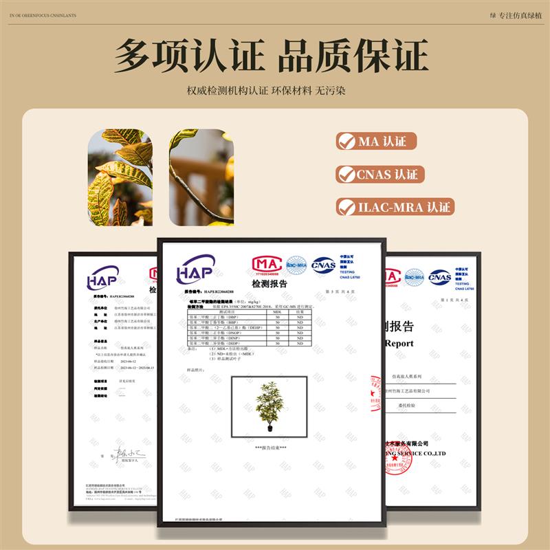 仿真洒金珊瑚榕高端轻奢风假树室内客厅装饰摆件落地仿生绿植盆栽图片