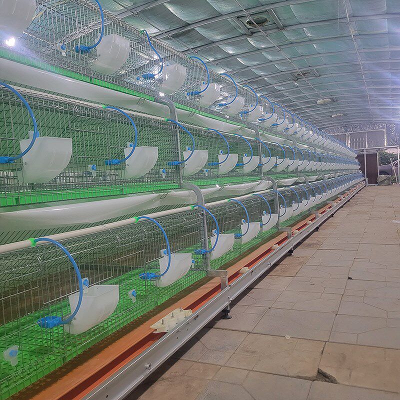 兔笼子养殖场专用母兔生产繁殖笼新式自动清粪新型特大号兔窝兔笼