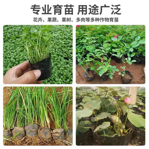 全新黑塑料营养钵农用育苗杯大号育苗袋一次性花盆营养钵厂家直销
