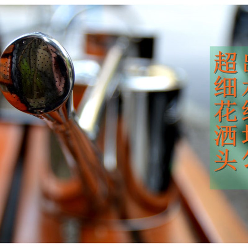 进口304不锈钢5升长嘴浇水壶花卉植物盆景浇花大容量洒水壶包邮