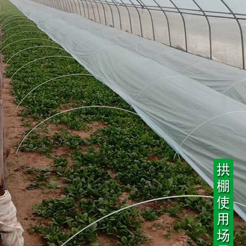 新型小拱棚支架拱杆实心玻璃纤维棒塑料温室养殖农用蔬菜大棚骨架
