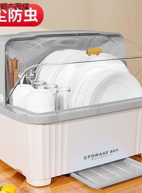 碗碟收纳盒带盖带沥水碗柜厨房用品装碗筷碗盘置物架家用小型碗架