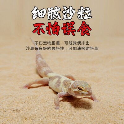 SuperRep爬虫沙砂蜥蜴瘤尾守宫鬃狮爬沙钙沙饲养箱造景沙爬宠垫材