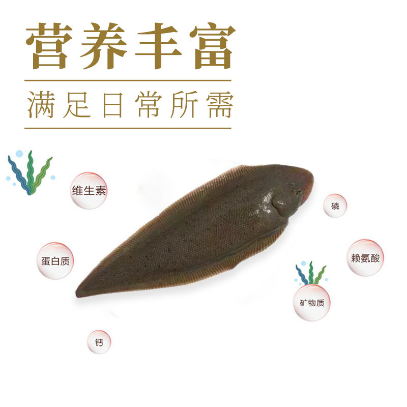 海童旺食养成用EP饲料鱼食缓沉型沉降型石斑鱼舌鳎鱼标苗成品鱼粮