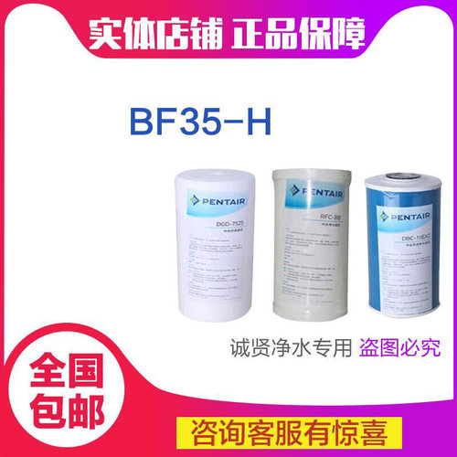 滨特尔BF35-H中央过滤器 专用滤芯初滤PP棉/高效活性炭/双效炭KDF