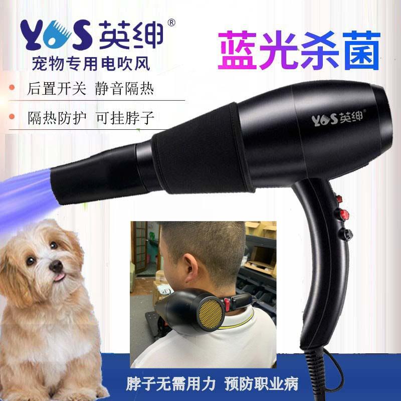 英绅可挂脖单筒宠物吹风机 蓝光静音设计狗狗猫咪专用