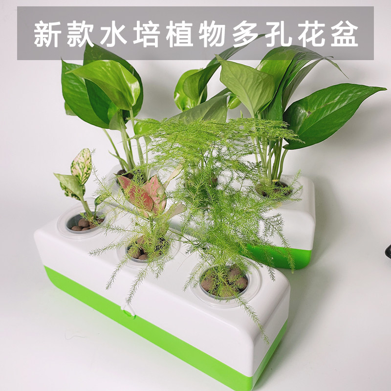 无土栽培蔬菜种植箱水培植物花盆室内水养绿萝花卉创意桌面盆栽