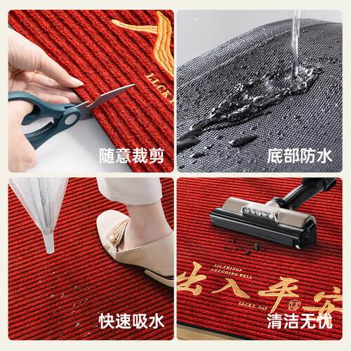高级感地垫入户门垫进门脚垫马年地毯2026新款玄关出入平安除尘垫