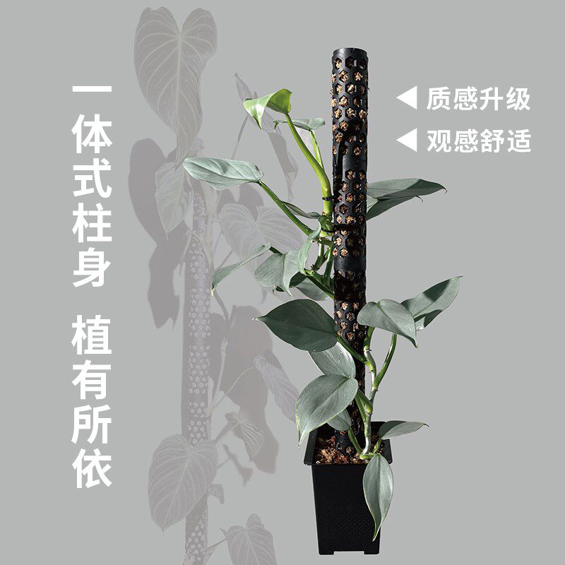 花信水苔柱龟背竹热植蔓绿绒附生兰花通用爬藤柱简约设计感实用