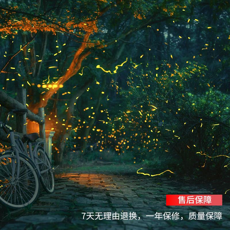 户外防水景区亮化灯文旅园林满天星照草坪萤火虫激光灯舞台灯光