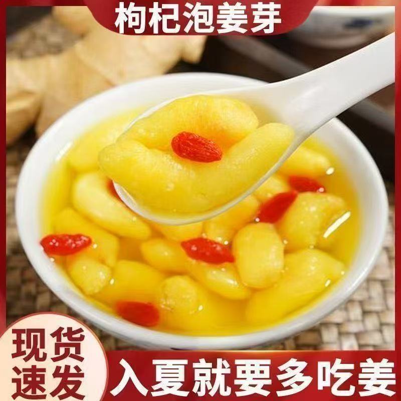 新鲜头茬】正宗枸杞姜芽山东新鲜嫩姜仔新货酸甜即食新品下酒批发