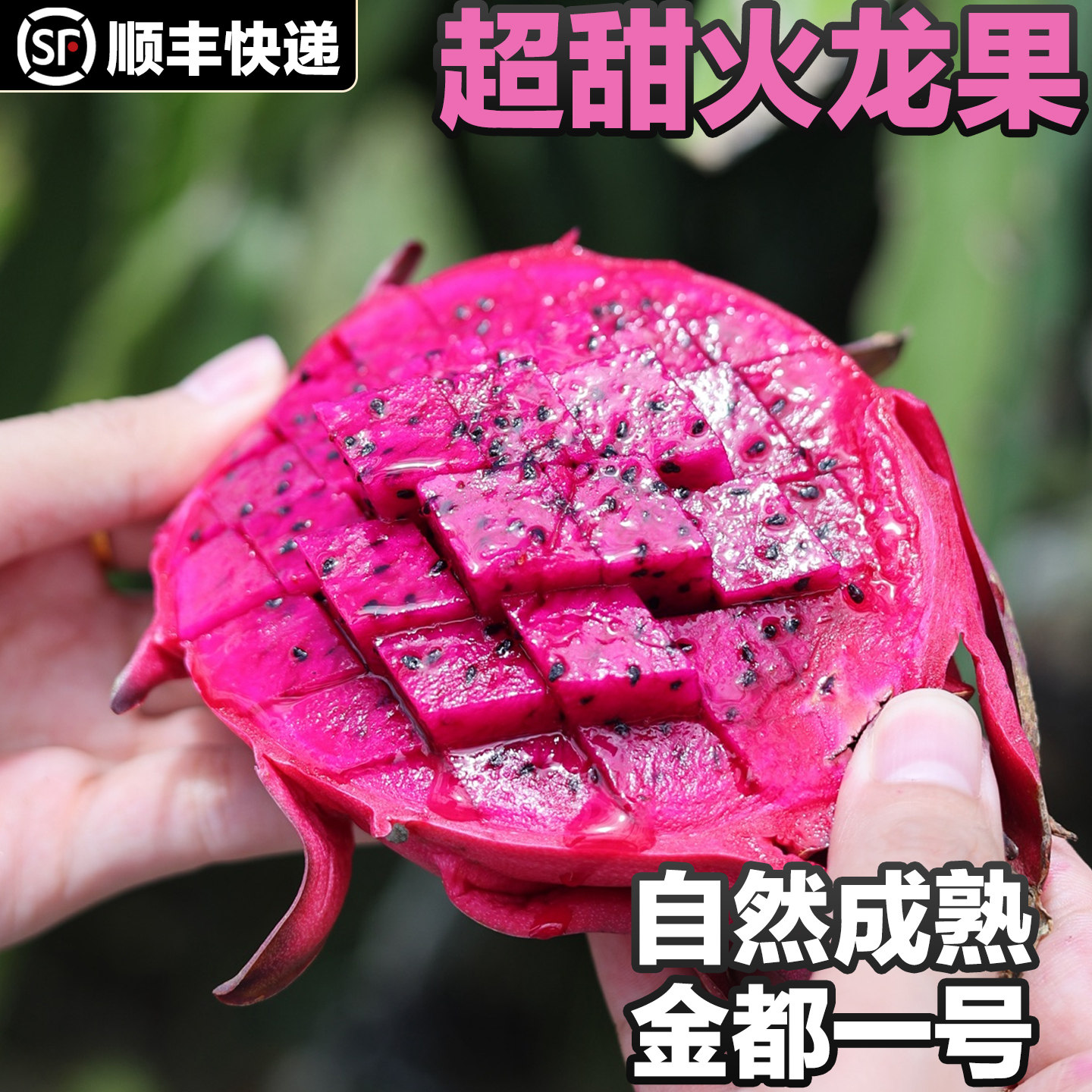 【顺丰】海南树熟金都一号红心火火龙果