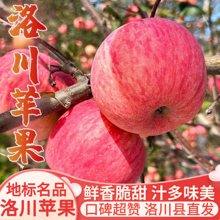 【顺丰包邮】正宗陕西洛川苹果水果新鲜整箱红富士冰糖心脆甜直发
