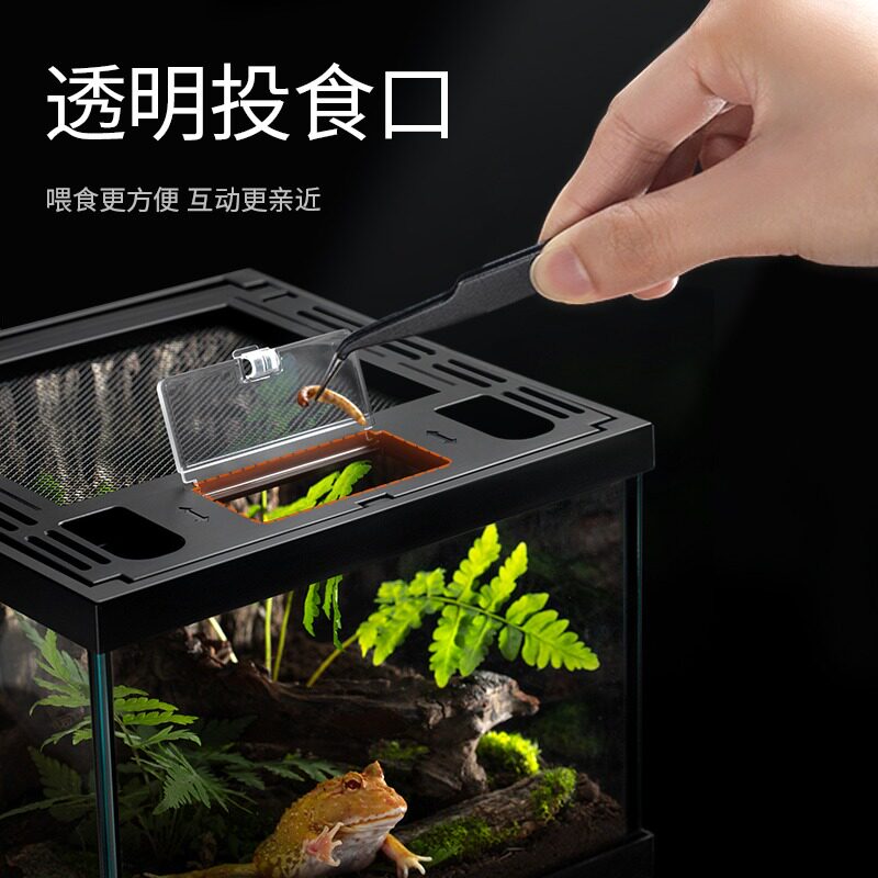 桌面爬宠饲养箱守宫蜥蜴角蛙寄居蟹乌龟蛇虫玻璃雨林缸全透生态缸图片