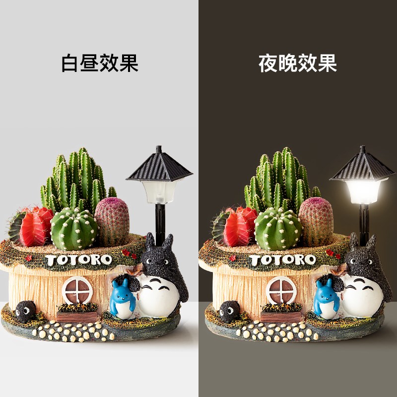 多肉植物龙猫盆栽办公室桌面创意仙人掌组合精品耐旱好养室内花卉