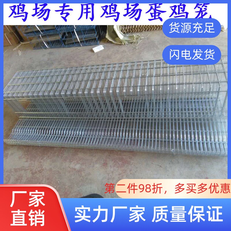 家用蛋鸡笼阳台养鸡笼自动出蛋鸡笼小号养殖家用蛋托收蛋折叠鸡笼