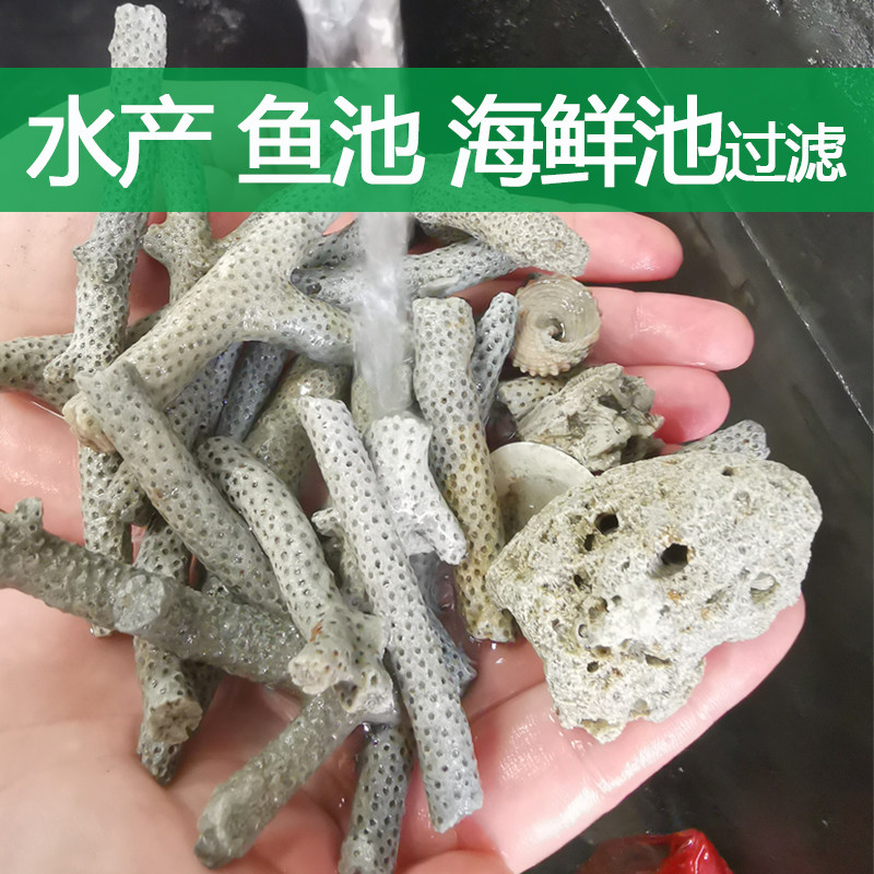 鱼缸珊瑚骨精选珊瑚石砂鱼海鲜池养殖过滤材料底沙调节PH值送网袋图片