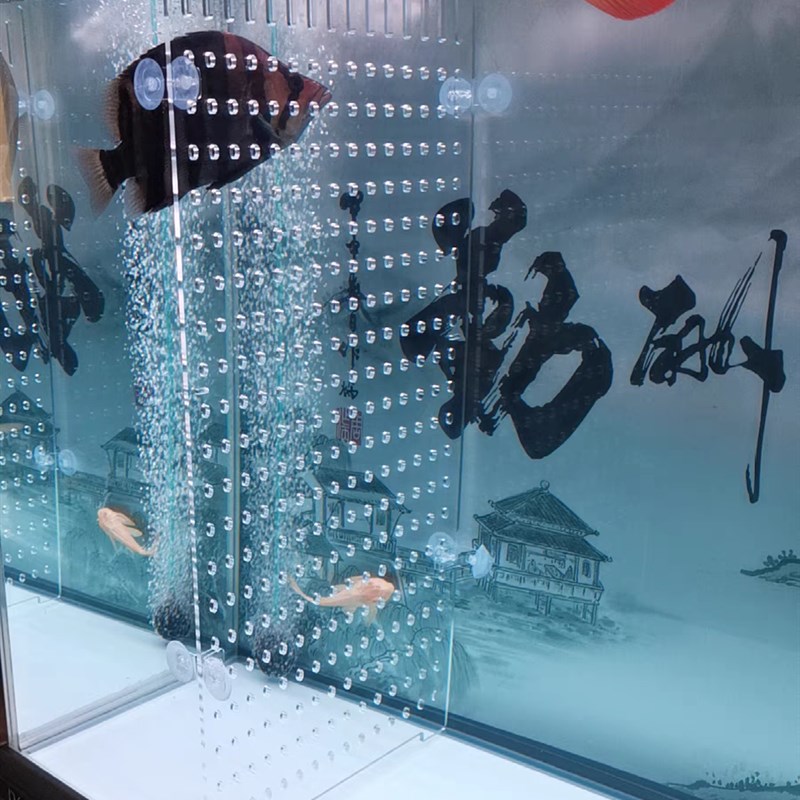 亚克力大鱼缸隔离板龙鱼虎鱼虹鱼内隔板定制高透海鲜池隔离板加厚