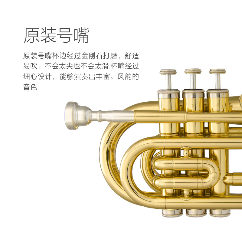 津宝 手掌号JBMT-500 便携式小号 降B调袖珍短号 铜管乐器 新品