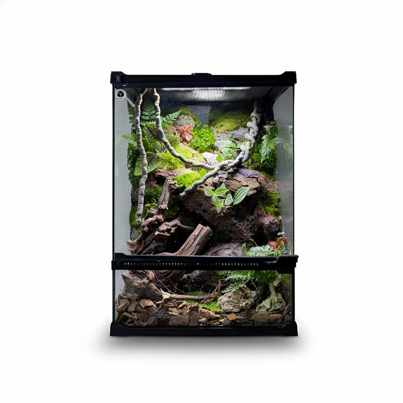 爬宠雨林生态缸造景成品桌面微景观爬虫玻璃缸全套守宫树蛙饲养箱