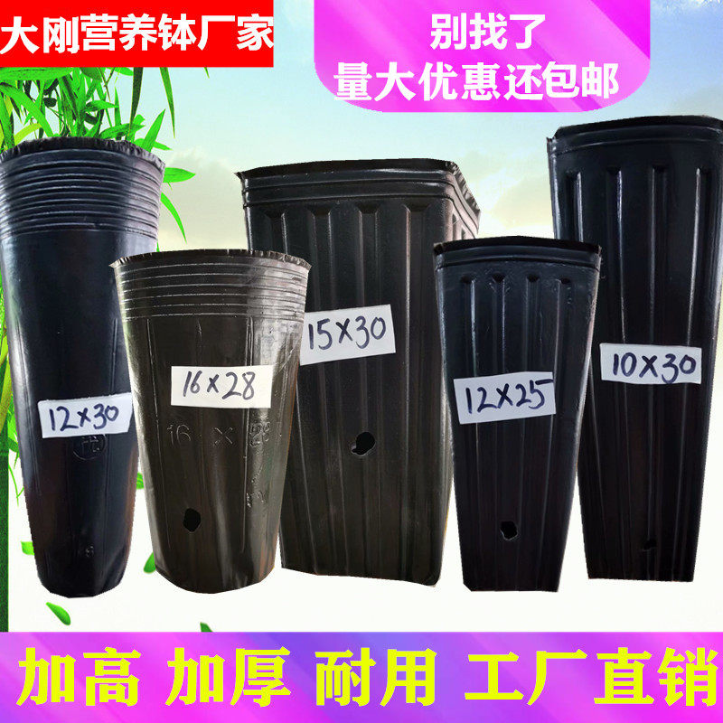 营养钵细长育苗钵圆口营养杯黑育苗盆方口提根蔷薇柑橘桶加高加厚
