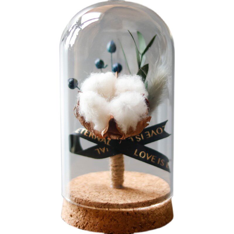永生花棉花植物干花玻璃罩生日礼物桌面摆件教师节母亲节礼品装饰