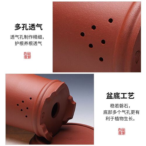 兰花花盆宜兴陶瓷透气兰草专用盆客厅室内带底座桌面精品紫砂花盆