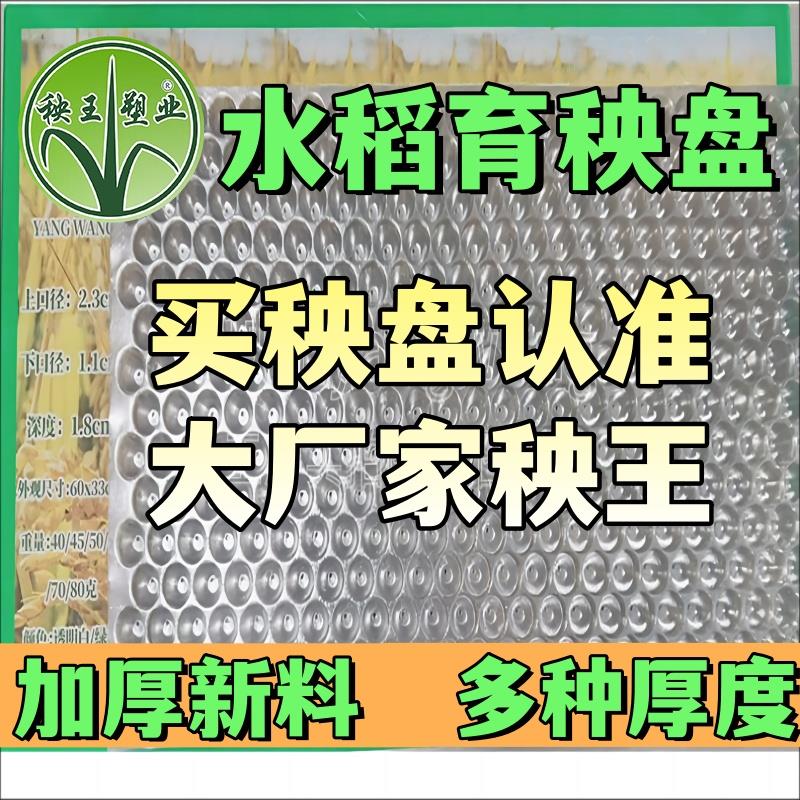 【源头厂家】超厚手抛盘抛秧盘353孔434孔561孔机插盘育秧盘育苗