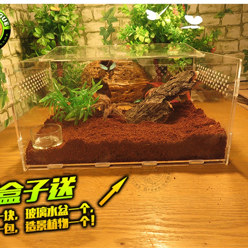 爬宠饲养盒亚克力爬虫箱蜘蛛豹纹守宫蜥蜴角蛙甲虫防生态造景箱