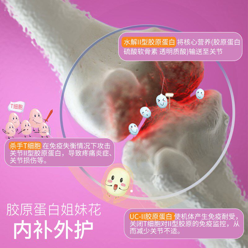 猫关节软骨素折耳猫咪软骨症尾僵发育不良腿瘸骨折宠物关节宝
