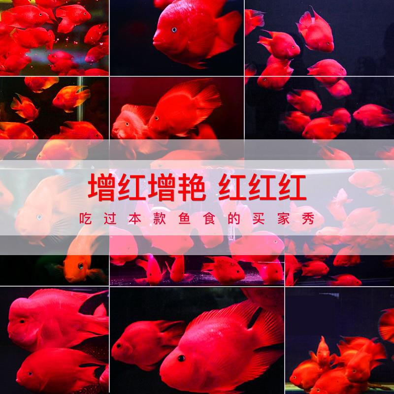 老渔匠血鹦鹉鱼饲料增红增色罗汉鱼发财鱼专用鱼食地图鱼热带鱼粮