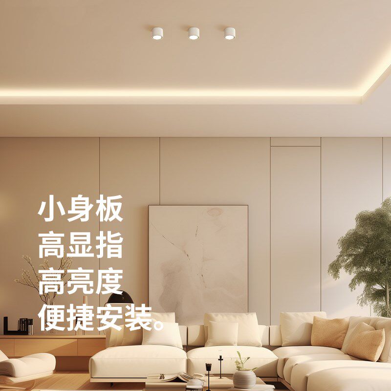 至御明装筒灯可调角度卫生间客厅免开孔卧室玄关过道无主灯具照明