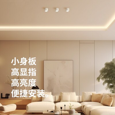 至御明装筒灯可调角度卫生间客厅免开孔卧室玄关过道无主灯具照明