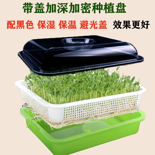 豆芽发芽神器发豆芽专用盆豌豆苗种植盘绿豆芽盆芽苗菜育苗盘水培