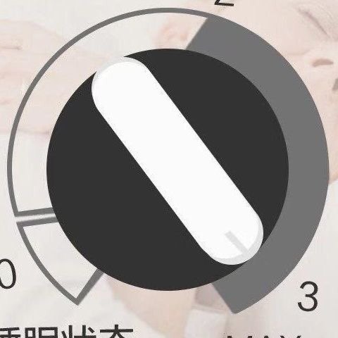 双孔通用电动防褥疮气床垫充气泵气垫床专用气泵瘫痪老人护理泵