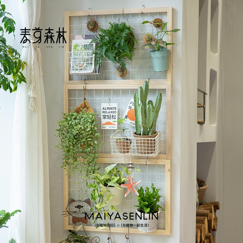 麦芽森林 网格花架阳台养花架绿植挂墙悬挂墙幼儿园实木绿植套餐