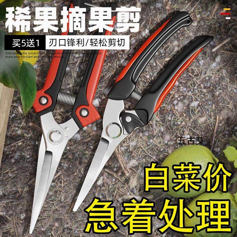 园林剪子摘果剪葡萄粒修枝花卉砂糖橘子花椒水果蔬果西红柿稀果剪