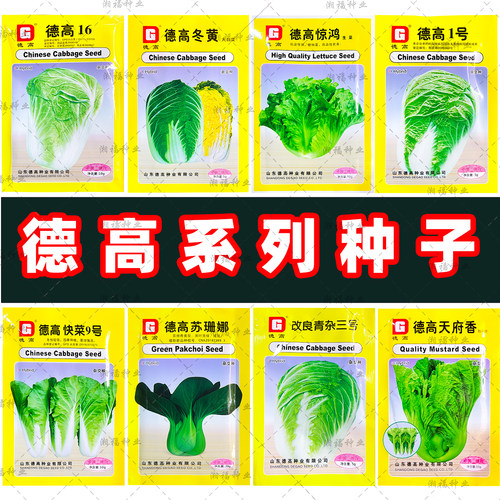 山东德高早熟种籽16 冬黄 快菜9号 惊鸿 1号 改良青杂三号苏珊娜
