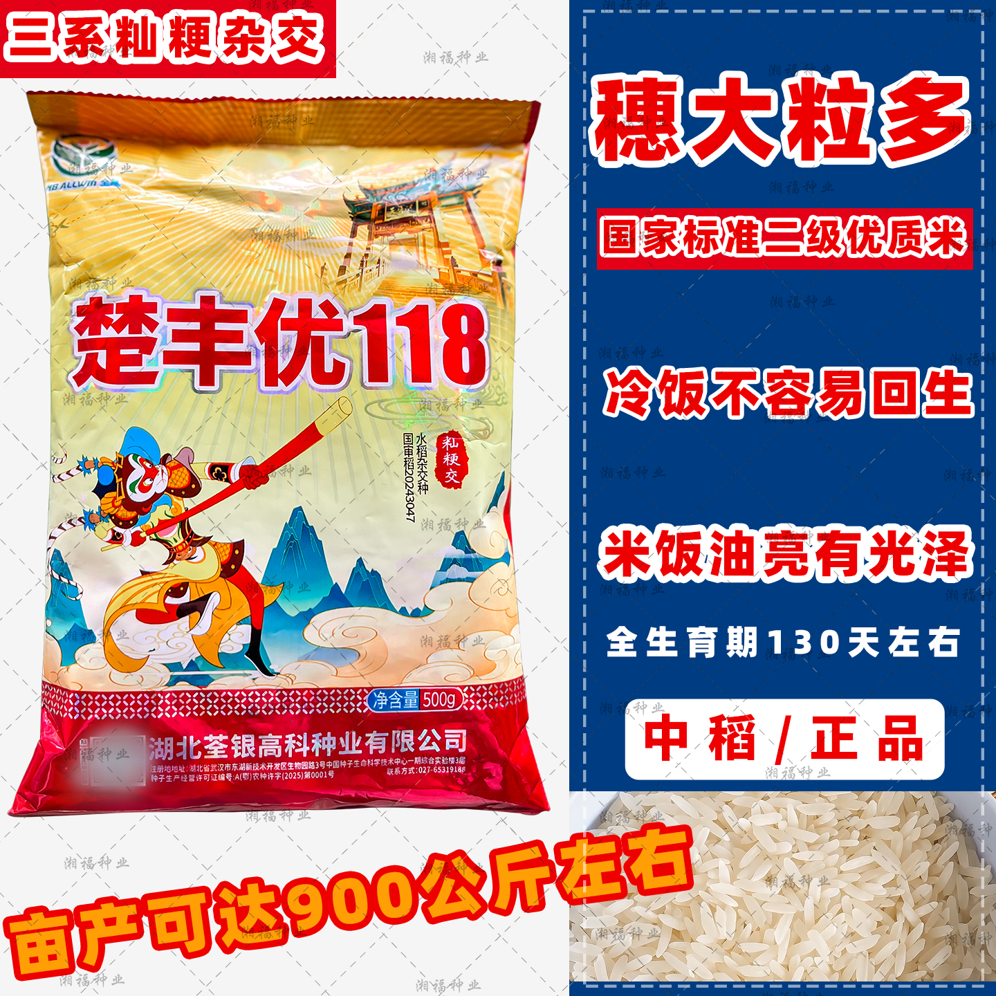 湖北荃银楚丰优118籼粳杂交水稻种籽高产正品优质香米中稻谷种子 - 实物图