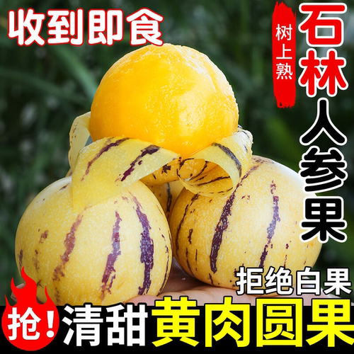 云南人参果新鲜水果石林人生叁果低糖水果老人圆果自然熟黄肉大果
