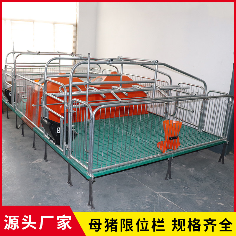全复合母猪产床分娩床双体产保一体保育床养殖设备猪用单体产床