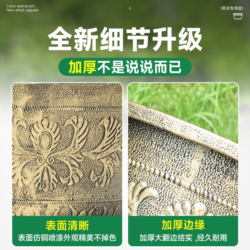 养睡莲荷花特大号塑料加厚耐晒花盆缸莲藕铜钱草水培碗莲无孔种植