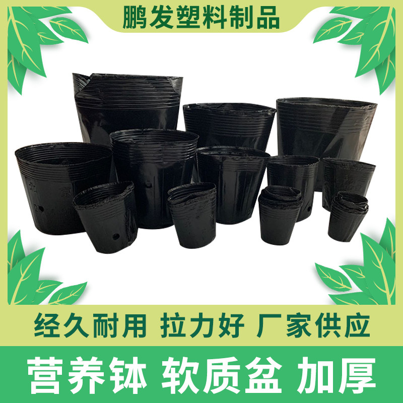 营养钵营养杯塑料育苗杯花盆一次性营养袋果树育苗袋育苗盆大加厚