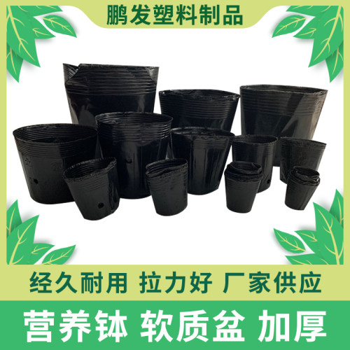 营养钵营养杯塑料育苗杯花盆一次性营养袋果树育苗袋育苗盆大加厚