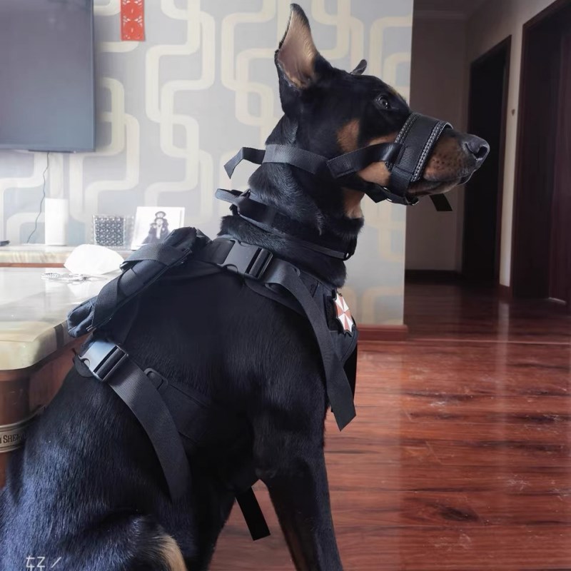 杜宾衣服战术胸背狗衣训练装备遛狗户外背心式马甲中大型犬护卫犬