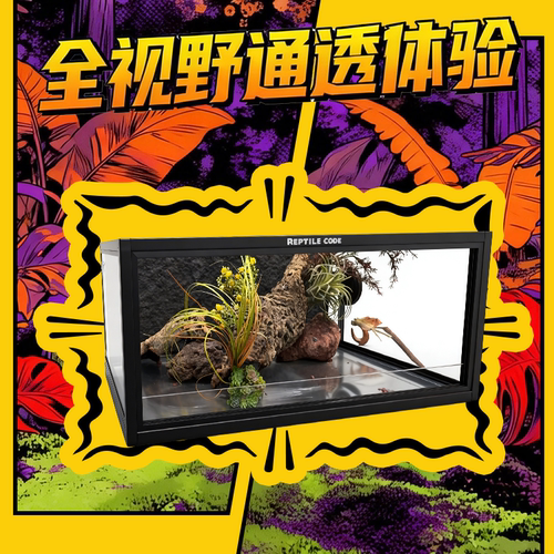 爬宠缸造景守宫蛇爬虫饲养生态缸
