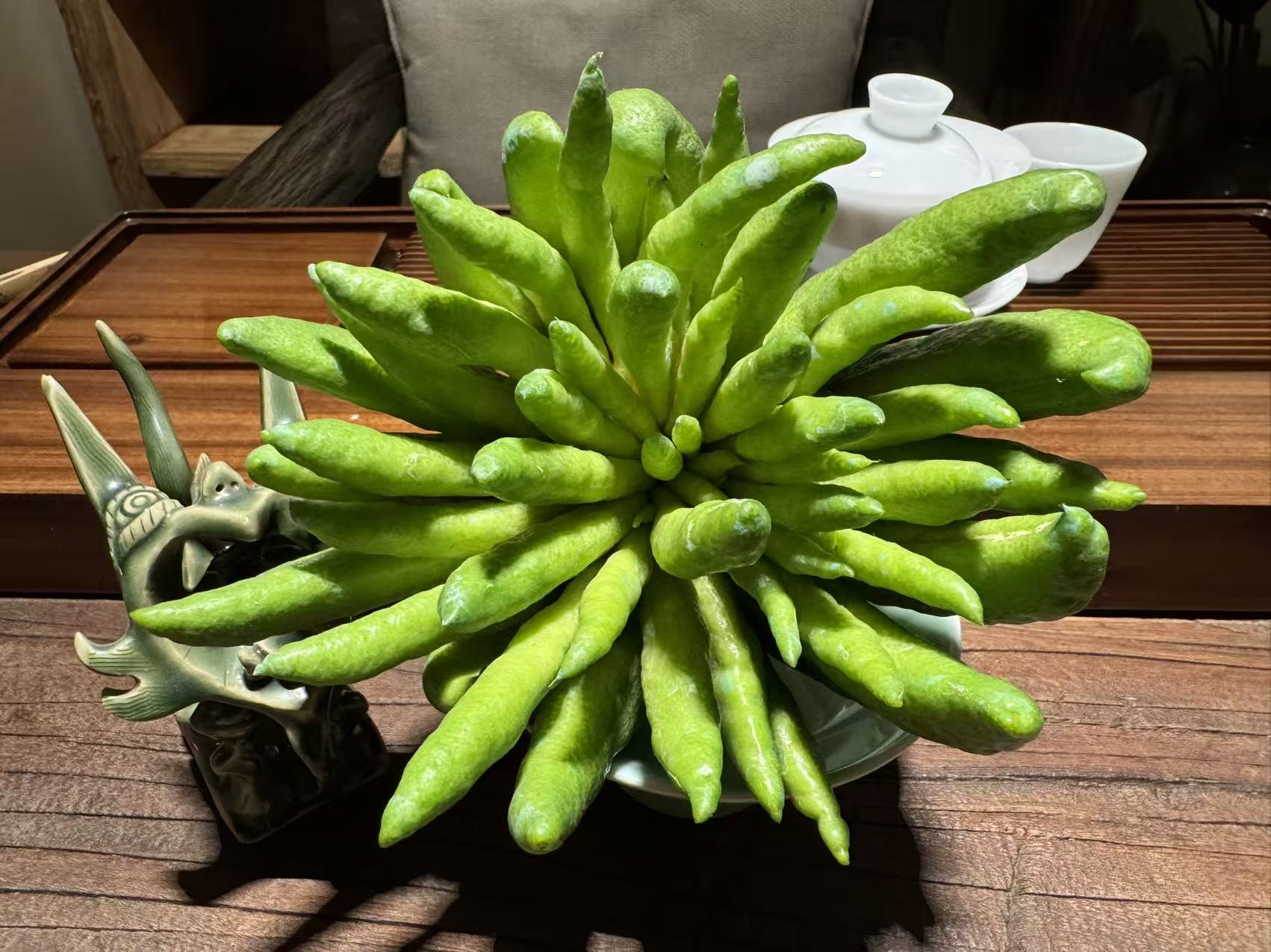 【晶洋-大果福利】清供礼佛闻香观赏高端花材云南佛手基地直发31A